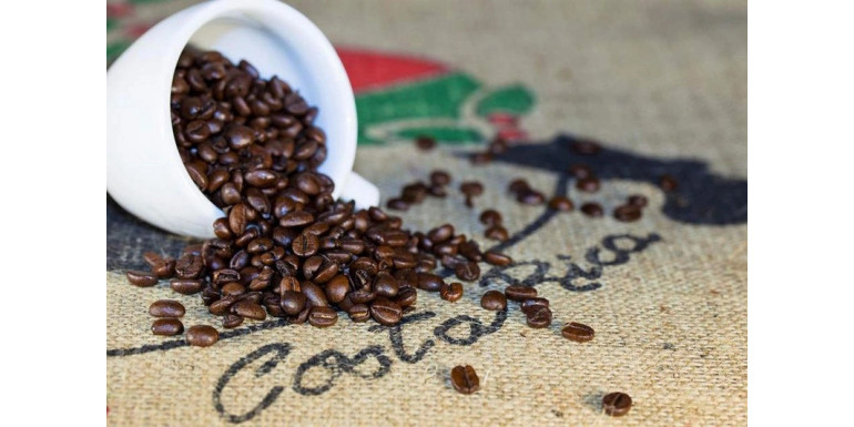 Zielone złoto Kostaryki: Tajemnice Produkcji Wyjątkowej Kawy