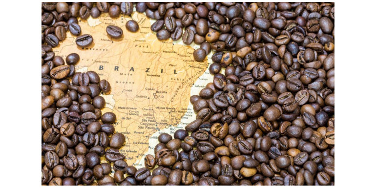 Fascynujący świat kawy: Historia, najlepsze plantacje i sposoby parzenia brazylijskiej kawy